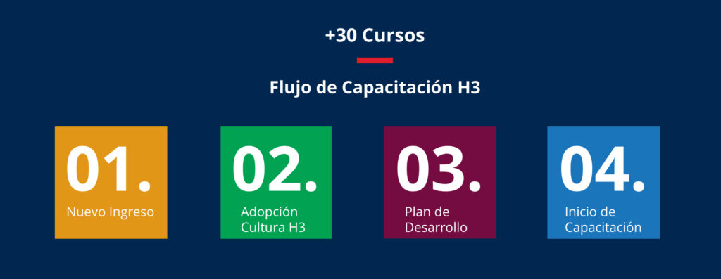 Flujo capacitación